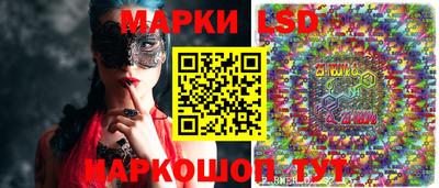 мяу мяу мука Краснознаменск