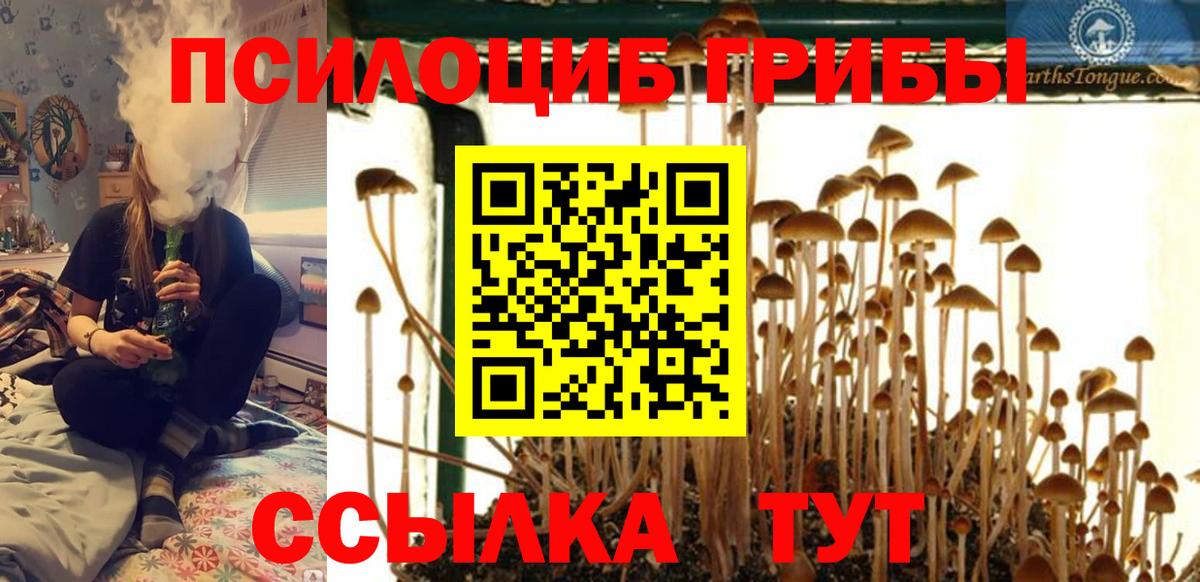 Псилоцибиновые грибы Psilocybine cubensis  Вход с VPN  Котлас 